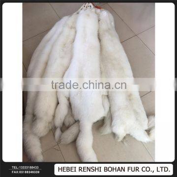 Gold Supplier China The White Fox photo-6