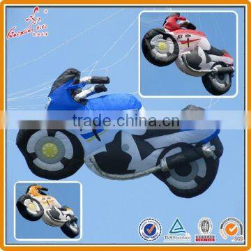 Large Kite for Sale From Weifang Kite Manufacturer photo-3