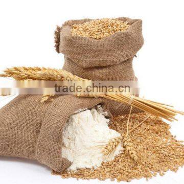 High Quality Bag Filter Dust Collector photo-2