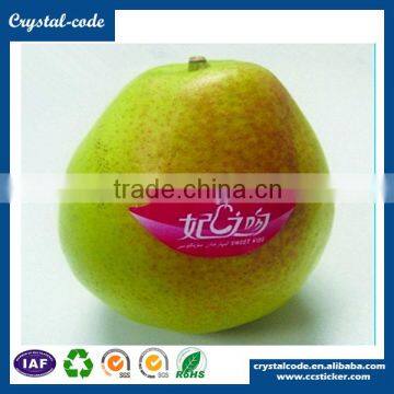 Anti Counterfeit Food Printed Logo Packaging Label photo-4