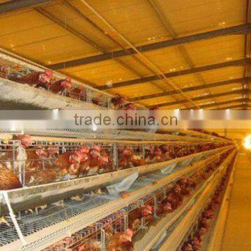 design layer chicken cages for poultry farm