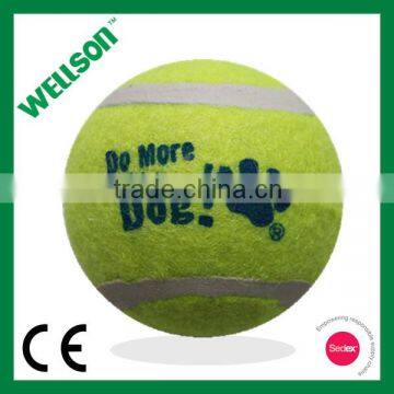 Pet tennis ball with squeaker