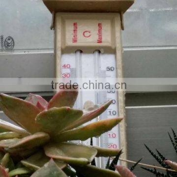 Maximum Minimum Thermometer photo-3