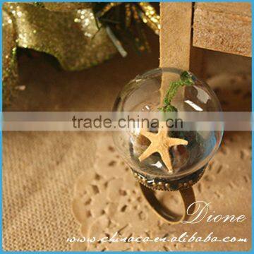 Website Hot Christmas Decoration Gift Round Dome Glass Golbe Handing Terrarium