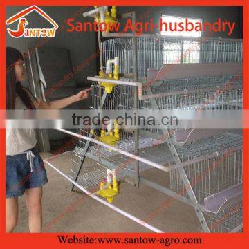 Hot selling A frame automatic layer poultry cages in Nigeria