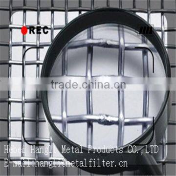 stainless steel crimped wire mesh/mine screen/stainless steel welded wire mesh