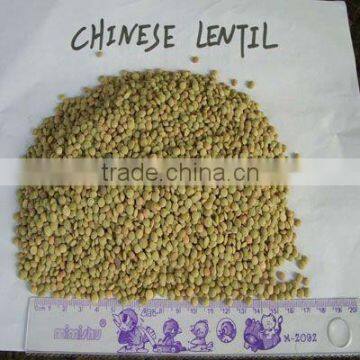 Chinese green lentil