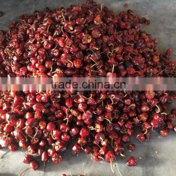 Round Chilli photo-3