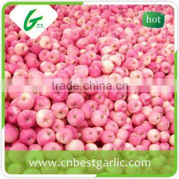 Fresh red sweet fuji apple with competitive price