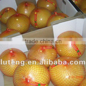 Fresh Pomelo 8-12pcs Packed in 10kg Carton for Sale