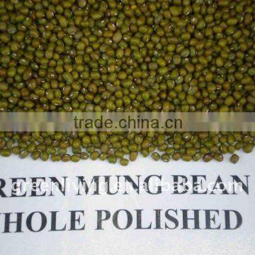 sell chinese good price chinese green mung bean(2011 crop)