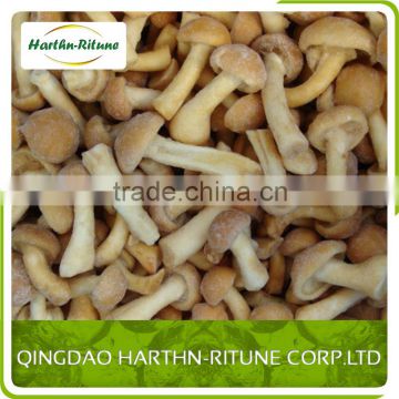 Frozen Pholiota Nameko