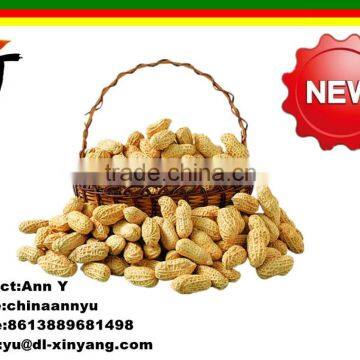 Good Salted Roasted Peanut in Shell photo-6