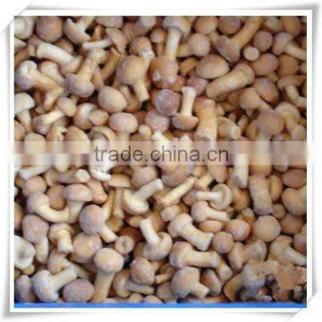 100% Natural China Health Food Mushroom photo-6