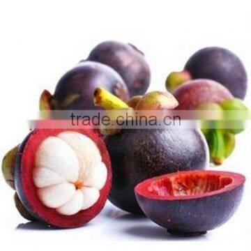 Natural HPLC 10%-98% Mangosteen Extract Powder photo-3