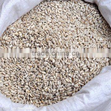 High Quality Sunflower Kernels NEW CROP photo-4