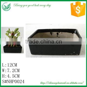 Mini Pyramid Shape Lucky Bamboo Ceramic Flower Pot