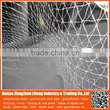 Bird Mist Nets / Plastic Hdpe Netting Fabric , Nylon Bird Nets For Catching Birds photo-4