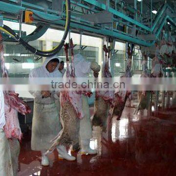 complete sheep abattoir equipment line