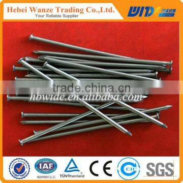 China hot sale iron wire nails / polished common nails / concrete nail for factory