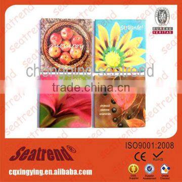 Custom souvenir magnet refrigerators for flowers