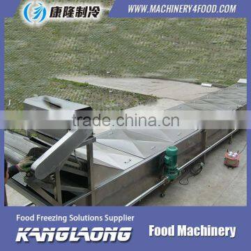 High Quality Net Belt Vegetable Blanching Machine photo-4