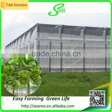 Modern design agriculture uv coating polycarbonate greenhouse