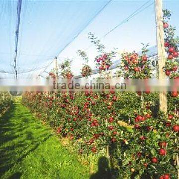 Apple Tree Anti Hail Net, Hail Protection Net photo-2