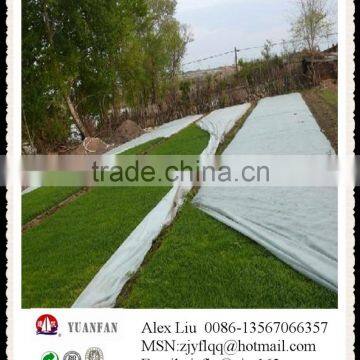 PP Spunbonded Non Woven Fabric Used for the Lawn Coverage photo-4