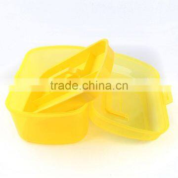 Plastic Packing Box For Pet Medicine Packing