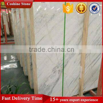 White Marble With Black Vein photo-5