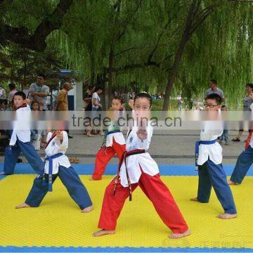Professional Taekwondo Mats Karate Mats Judo Mats Interlcoking Mats photo-5