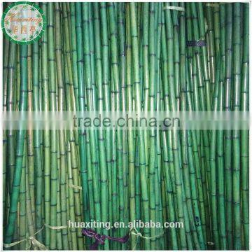 25/30mm Green Dyed Bamboo Poles 2.4m length