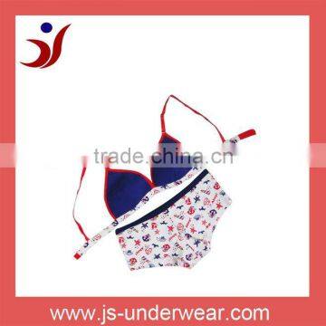Sexy Girl Panty Bra Set Girls Undergarment