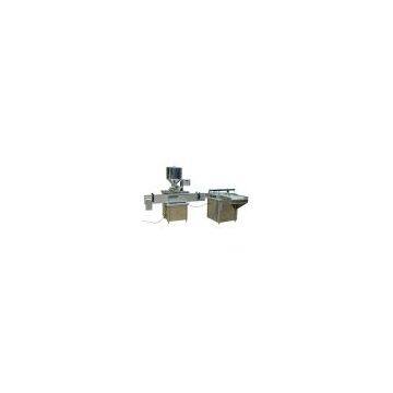 ZSGJ-B Automatic Bi-head Filling Machine