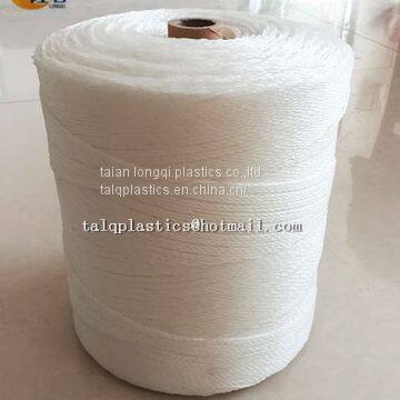 3mm Polyethylene Twine Plastic String Roll photo-4