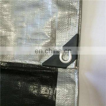 Economy green transparent tarpaulin