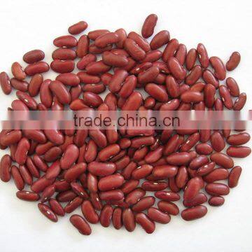 200-220 Pcs/100g Chinese Dark Red Kidney Bean Prices