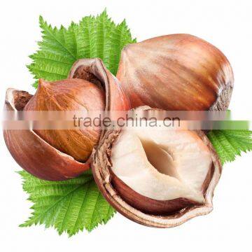 Organic Hazelnuts