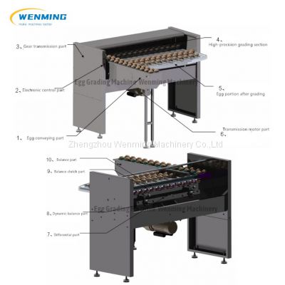 Egg Grading Machine Automaticr Egg sorting Machine  Egg Grader