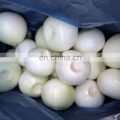 Year Round European Standard Harvest 2019 Skin Off Yellow Whole Round Fresh Onions From China photo-5