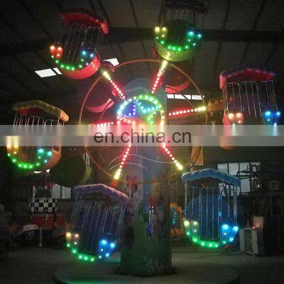 Mini Ferries Wheels Double Side Amusement Rides for Sale