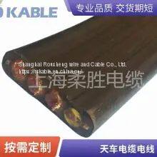 2*25 2*35 Sky Car Disk Wire With Steel Wire Sky Car Cable Support Customized *** Anti-corrosion Anti-UV Anti-aging Anti-tensile Cold Resistance and Low Temperature Resistance photo-2