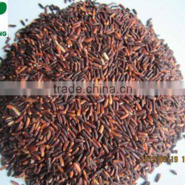 BLACK GLUTINOUS RICE