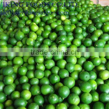 FRESH SEEDLESS LIME_GOOD QUALITY FROM VIET NAM