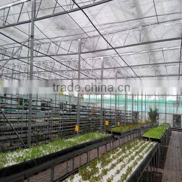 Agriculture Multi Span Plastic Film Greenhouse