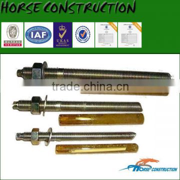 Horse Chemical Anchor Bolt M20 for the curtain wall bracket fixation