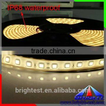 DC 12V 24V swiming pool waterproof ip68 led strip 5050,RGB 5050 ip68 5m Waterproof led flexible strip