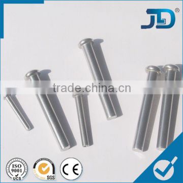 Round head stainless steel rivet