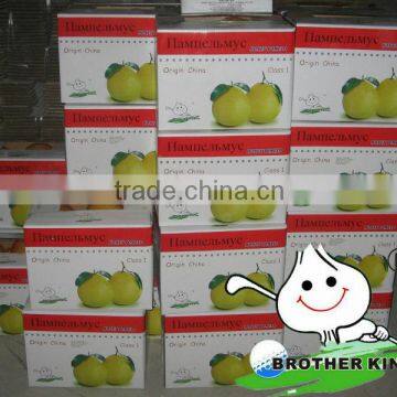 juicy pomelo in bulk,chinese honey pomelo